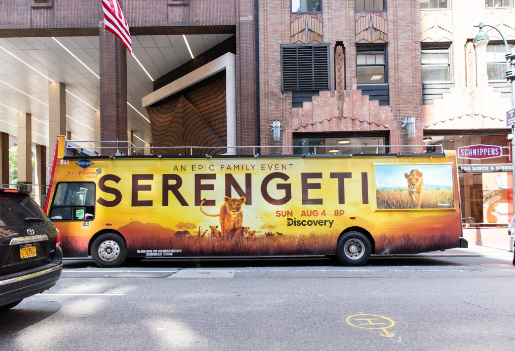 discovery serengeti ad on vectors DDTV product 
